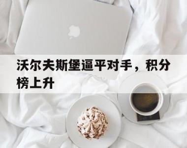 沃尔夫斯堡逼平对手，积分榜上升的简单介绍