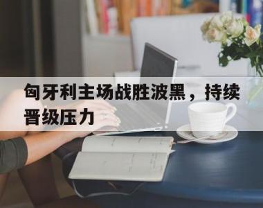 匈牙利主场战胜波黑，持续晋级压力的简单介绍