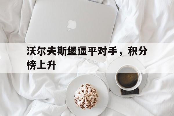 沃尔夫斯堡逼平对手，积分榜上升的简单介绍