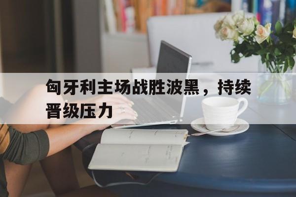 匈牙利主场战胜波黑，持续晋级压力的简单介绍